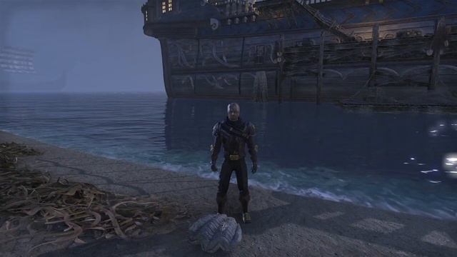 Detailed Guide for the Sea-Serpent's Coil
