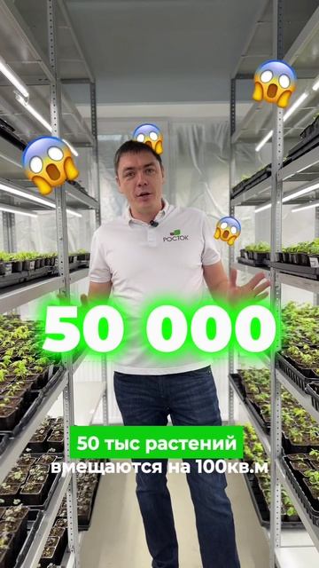 Секрет адаптационной комнаты 🤫