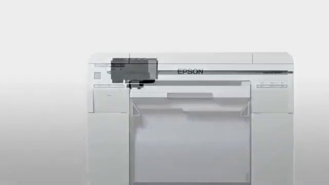 Epson SureLab SL-D700