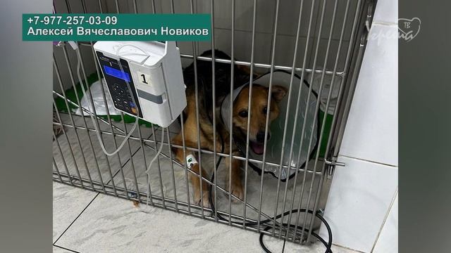 Операция сделана!