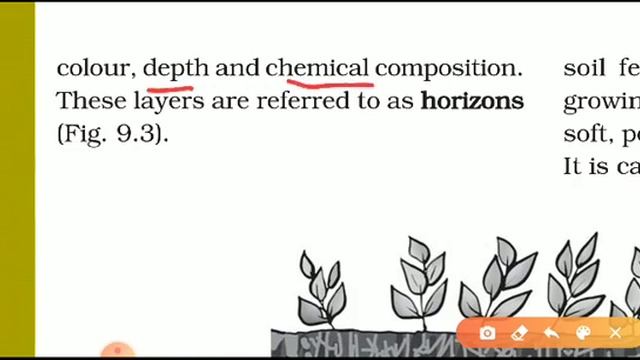 Class 7 science chapter 9 :: 9.2 Soil Profile