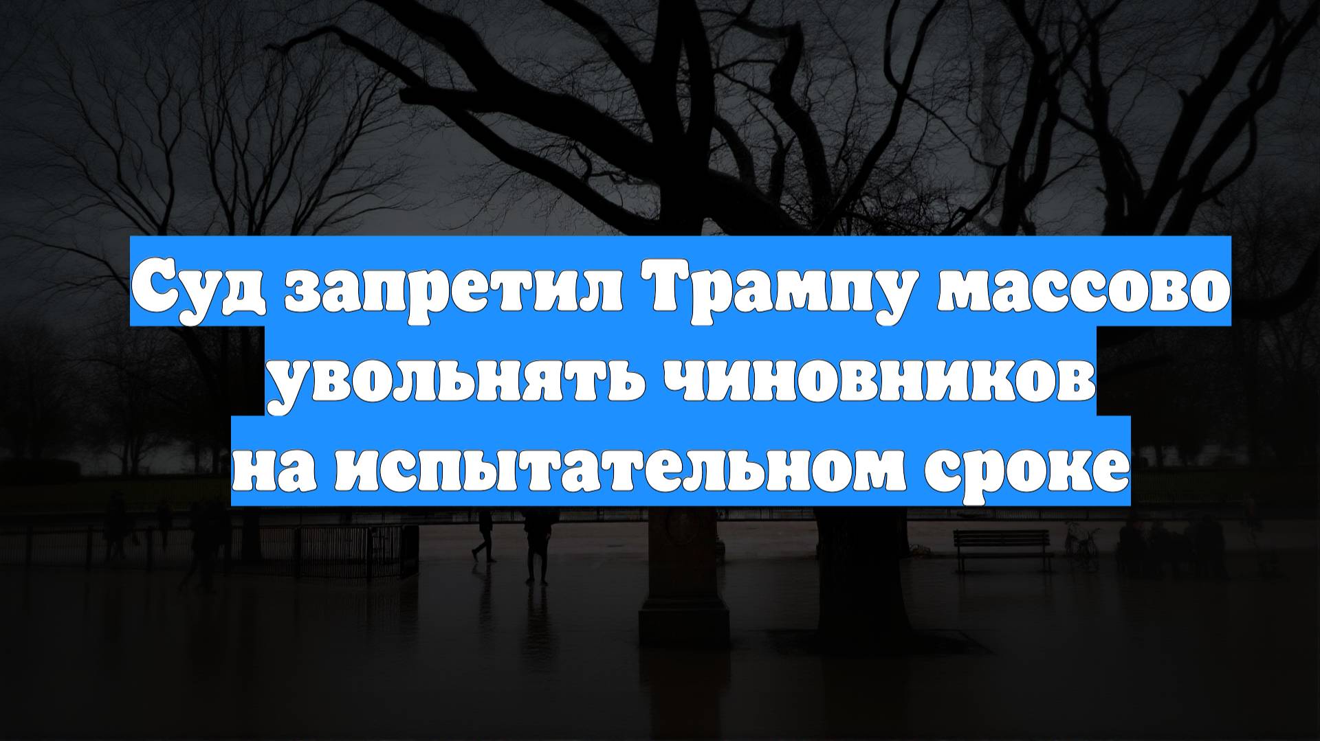 Суд запретил Трампу массово увольнять чиновников на испытательном сроке