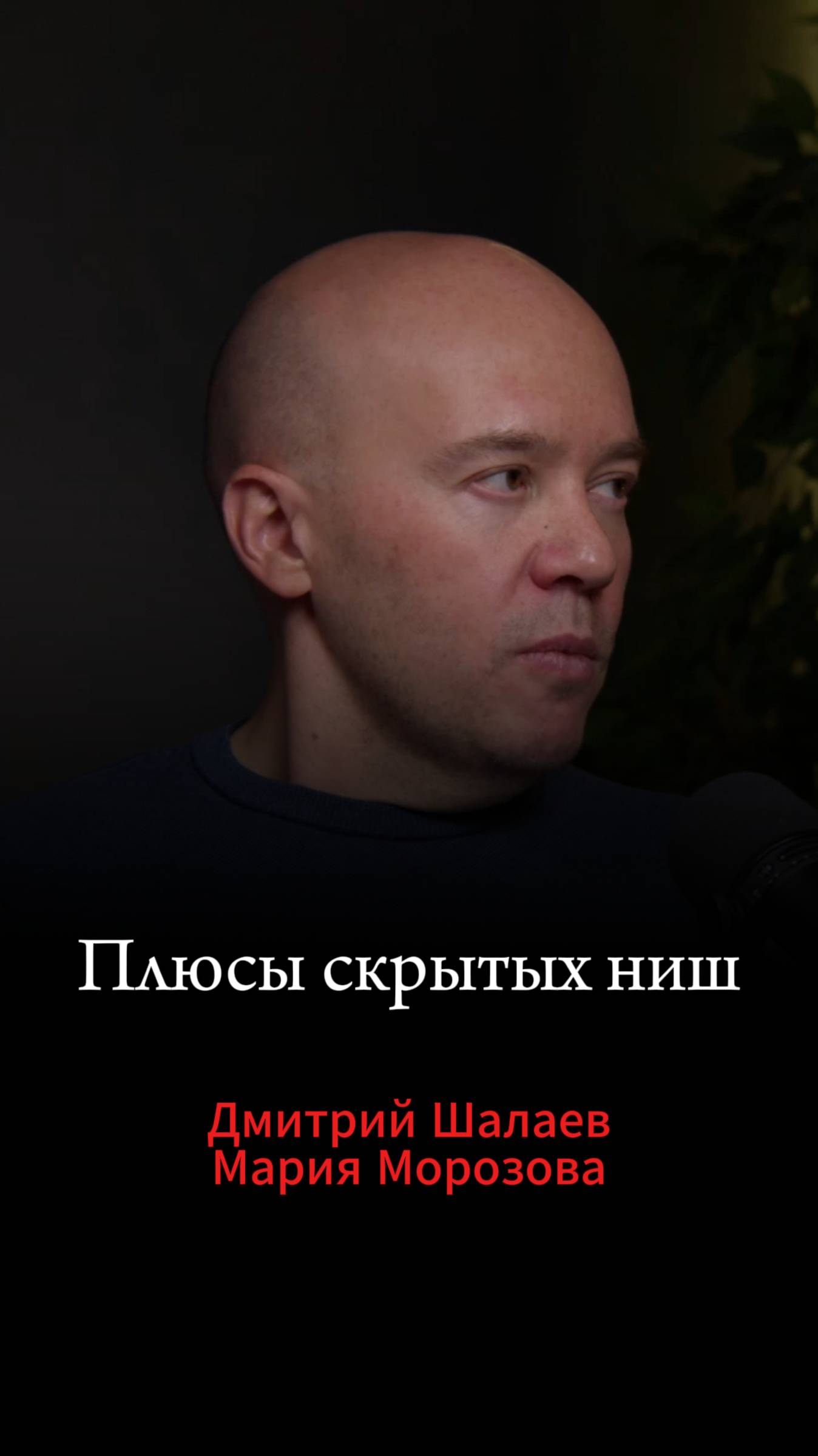 100% шанс заработать в скрытых нишах маркетплейсов. Дмитрий Шалаев про голубые океаны на ВБ, Озон