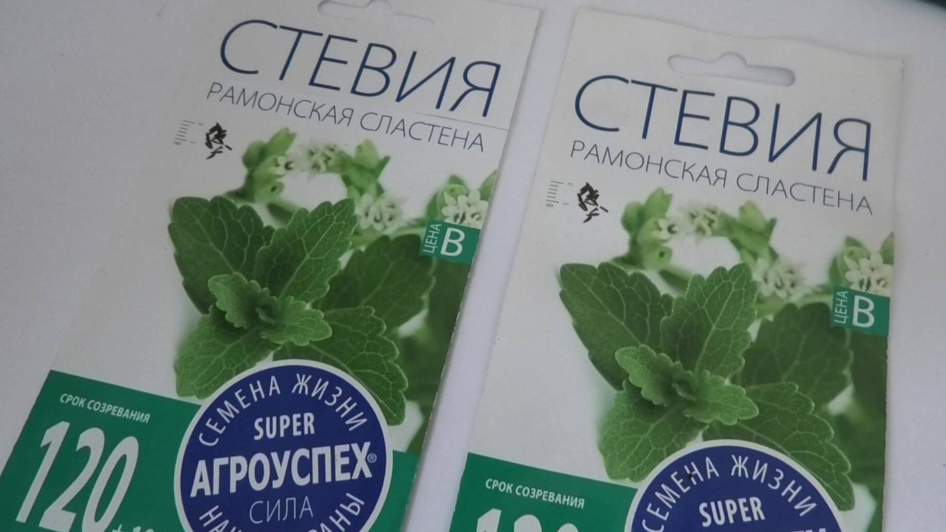 24-28 02 25г обзор семян,Стевия-выращивание