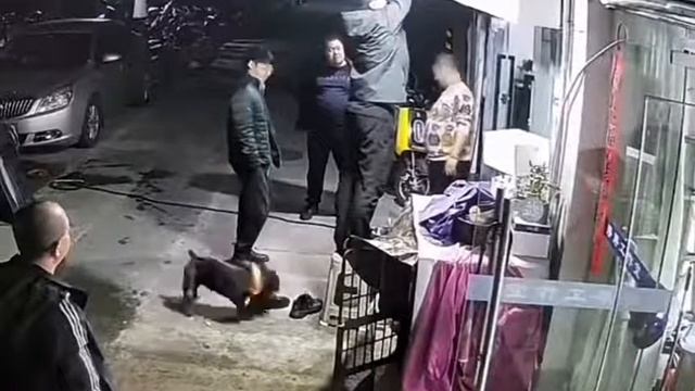 Оуо, бяка😧😧😧