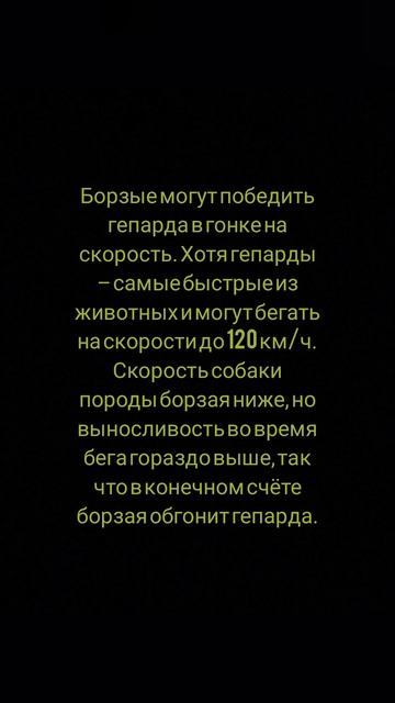 Факт про собак №23#shorts
