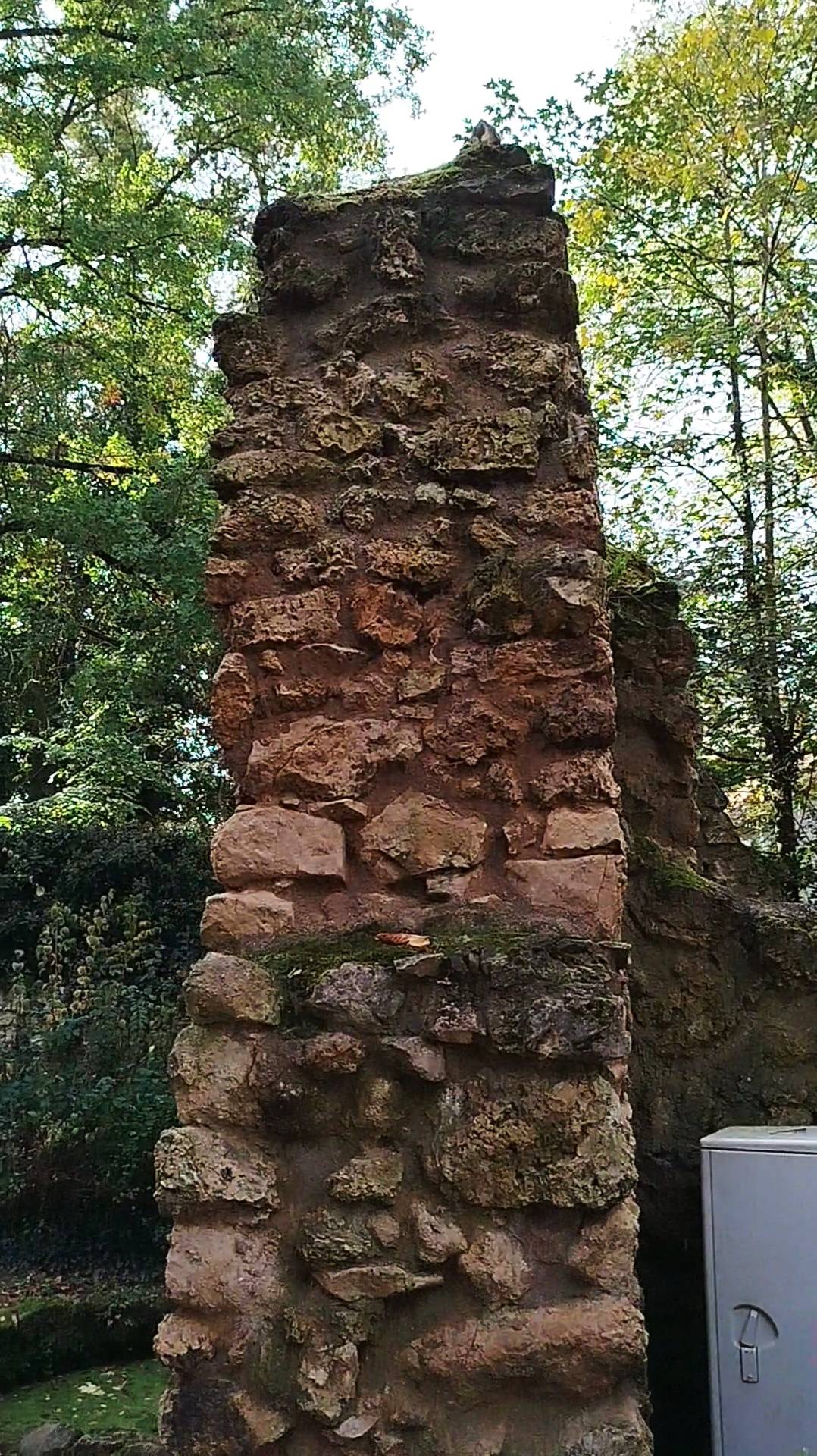 ГЕРМАНИЯ. УЮТНЫЙ ПАРК, Г. РЮССЕЛЬСХАЙМ (РЯДОМ С ФРАНКФУРТОМ). КОНЕЦ ОКТЯБРЯ 2024