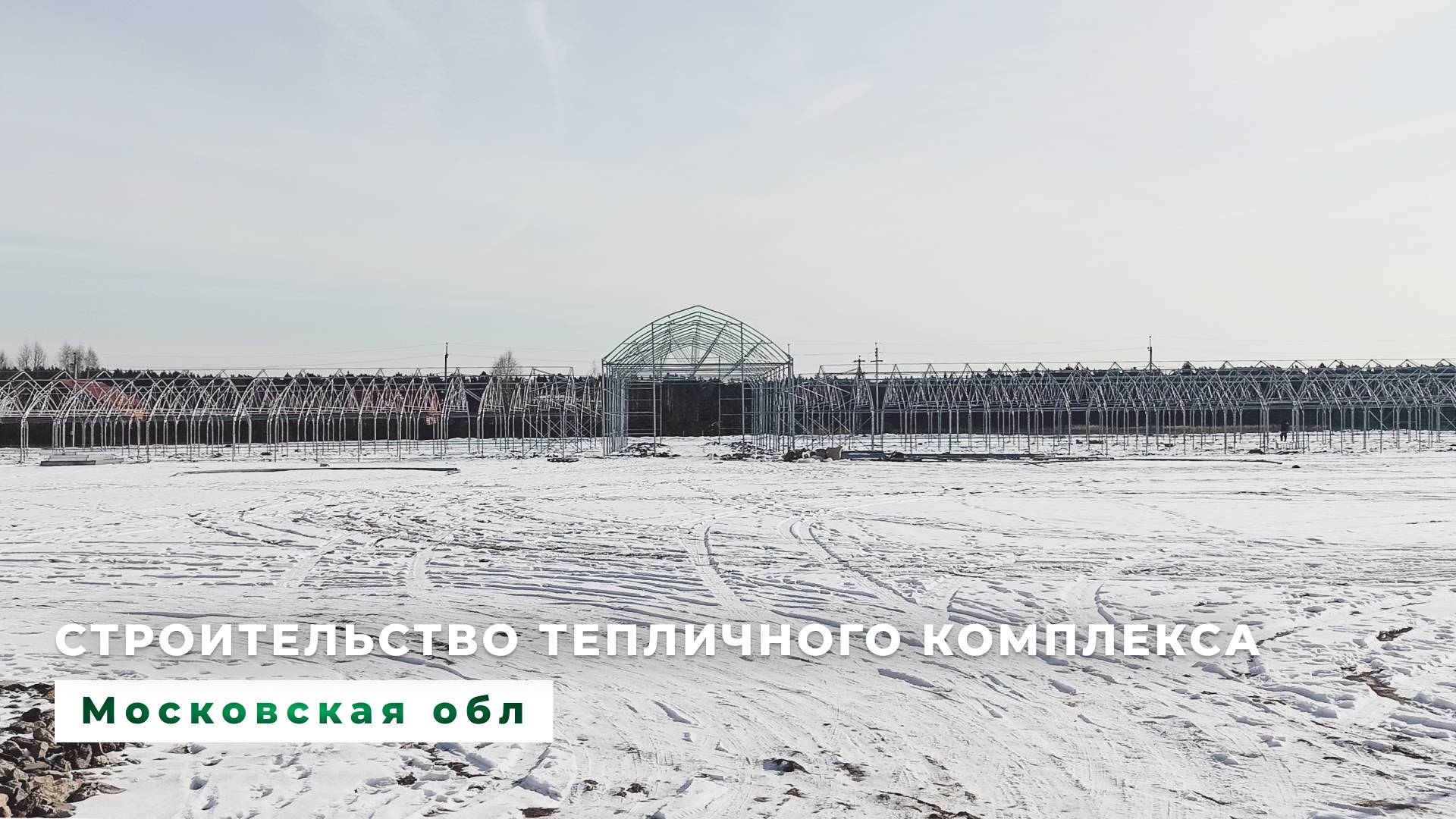 Промышленные теплицы. Тепличный комплекс с хозблоком, Московская обл