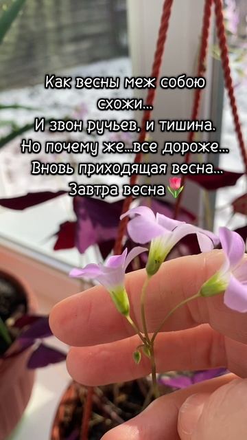 Завтра весна🌷