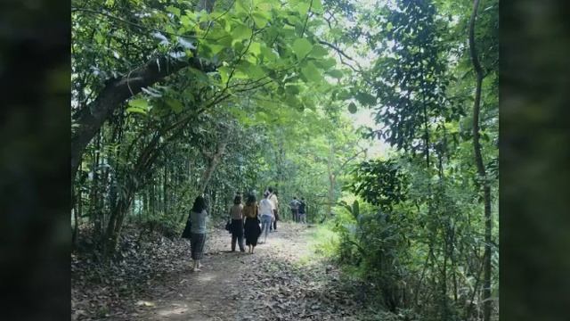 Wisata di Punthuk Setumbu. Tamu-Tamu Saya Baik hati. Istimewa. . You Tube dan Instagram Bowo Setumb