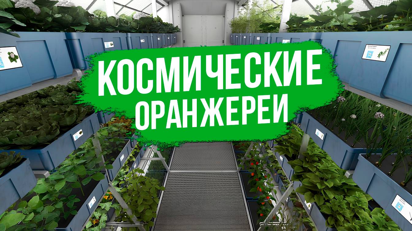 Конференция в Агрофирме Поиск. Выращивание овощей в космосе - это реально?