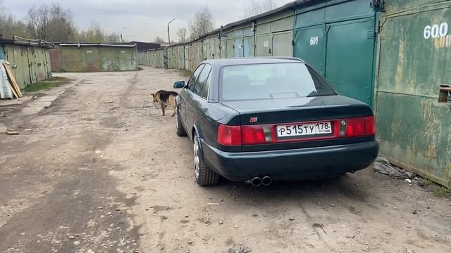 QuattrosVlog6,  k24 450лс и тд