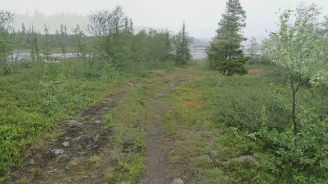 Зима приближается (р. Умба 2019)