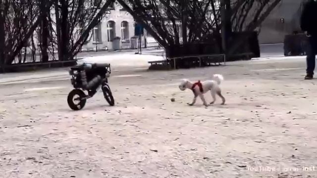 Boston Dynamics