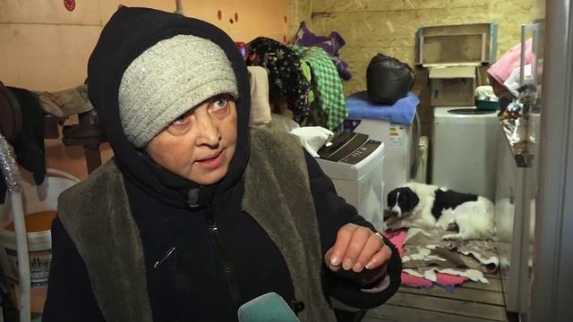 (27.02.2025) Госдума готовит законопроект о защите от нападений бездомных собак