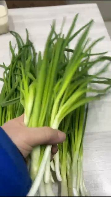 Лук зеленый. партия от 27.02