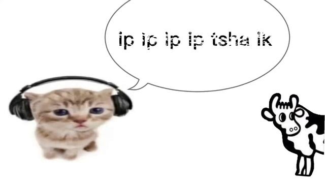 turi ip ip ip vs ?