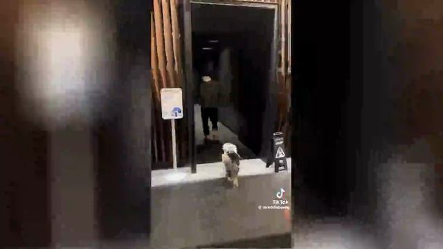 Best video of Tik Tok! 28.02.25 / 01
