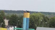 Аисты на привале