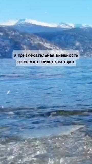 Научитесь определять, что действительно важно, а что нет. Высшее образование не является критерием у
