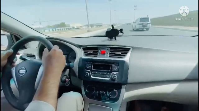 Smart Driving Test/How To Move Steering in exam/0581931025