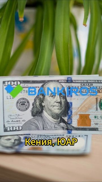 В этих странах не принимают #старые_доллары💸 #shorts #Банкирос #доллары #валюта #страны #турист
