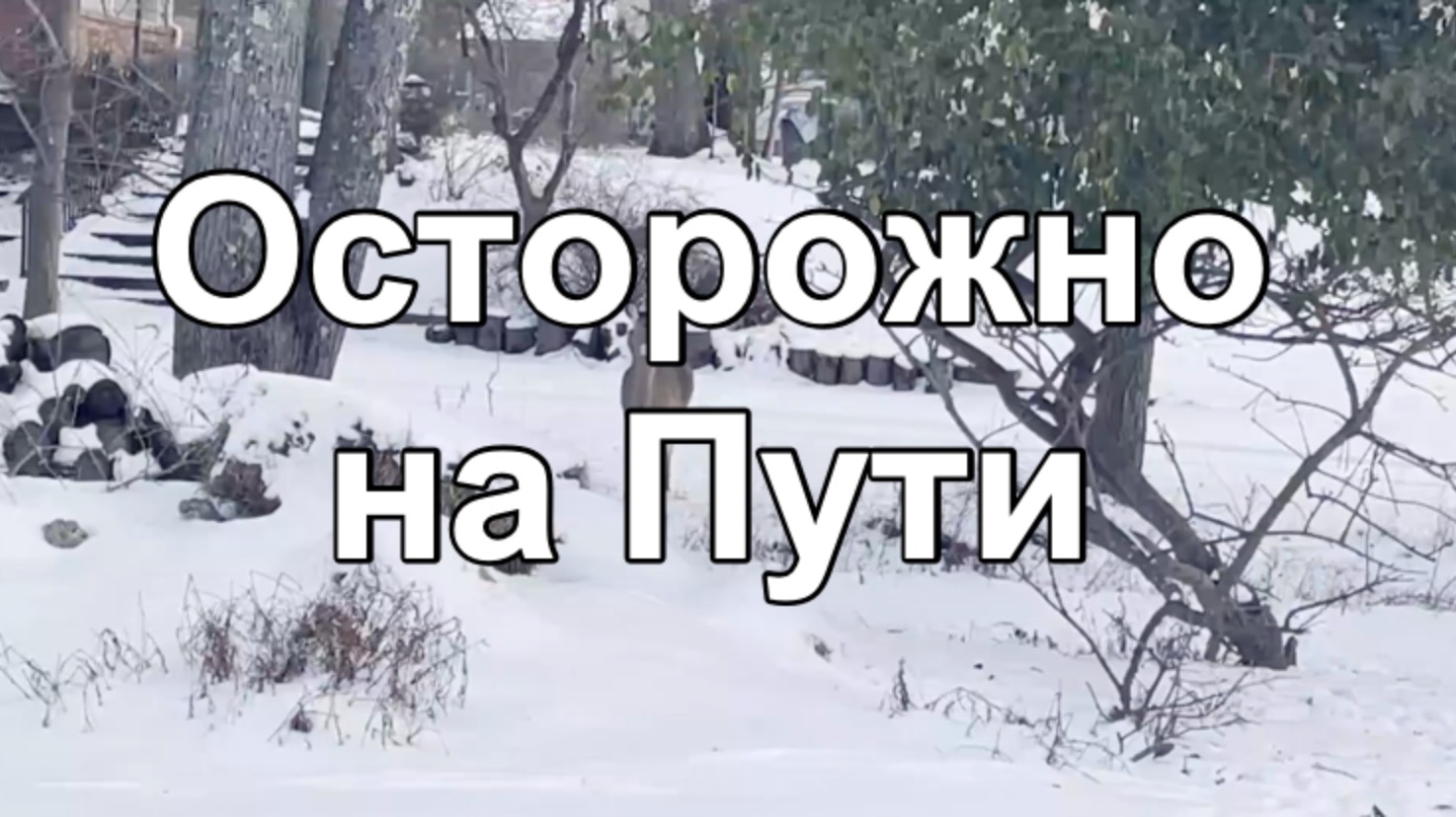 Осторожно на Пути