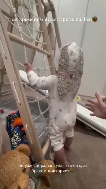 Тео собрался куда-то лезть 🥺
