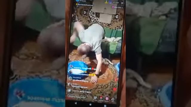 Нестор І Одарка !
