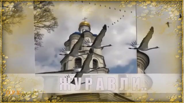 ЖУРАВЛИ