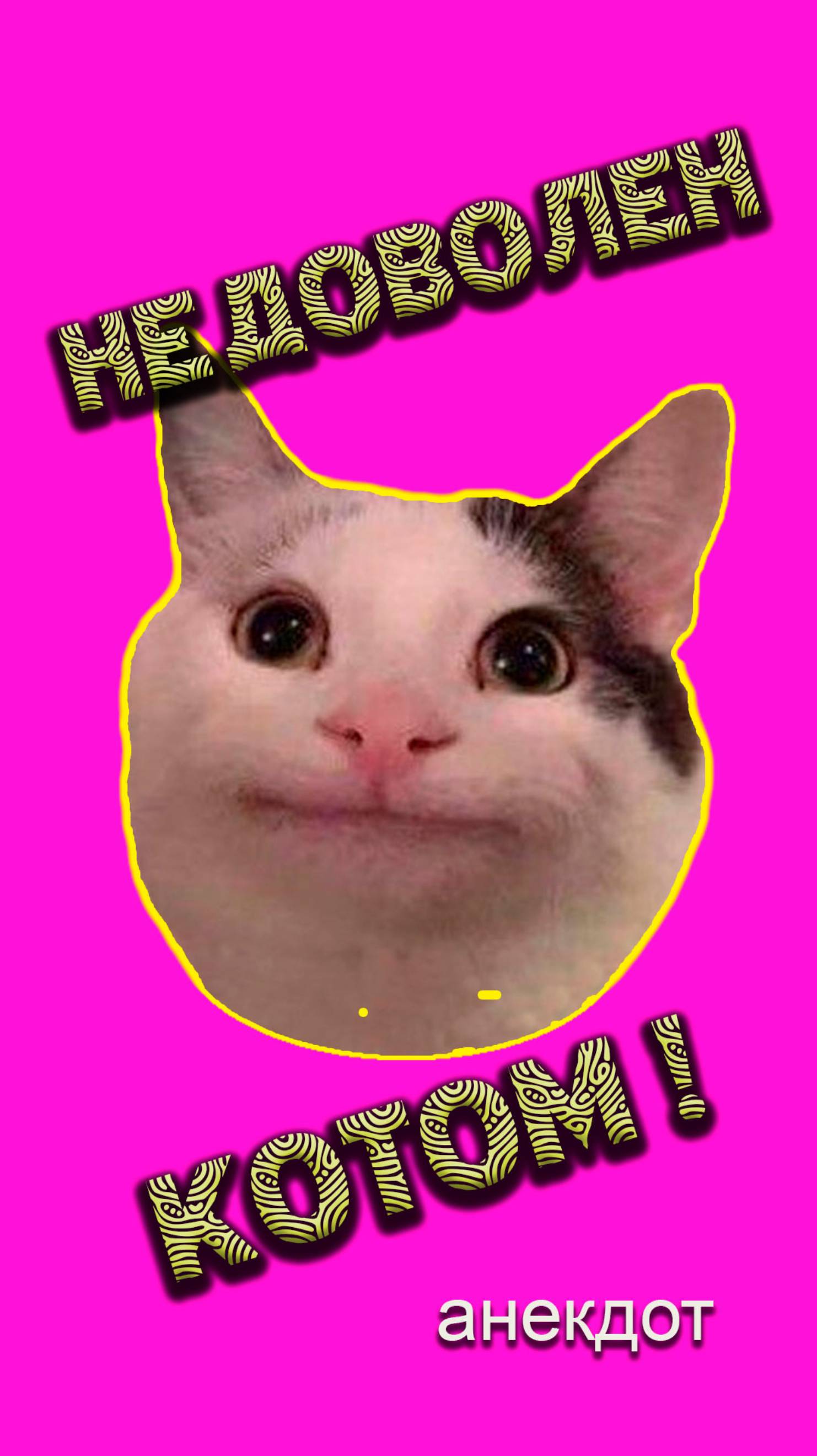 Недоволен котом #shorts