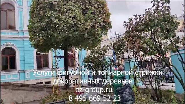 Услуги фигурной и топиарной стрижки декоративных деревьев на даче. Выезд Агрономов в Москве и обл.