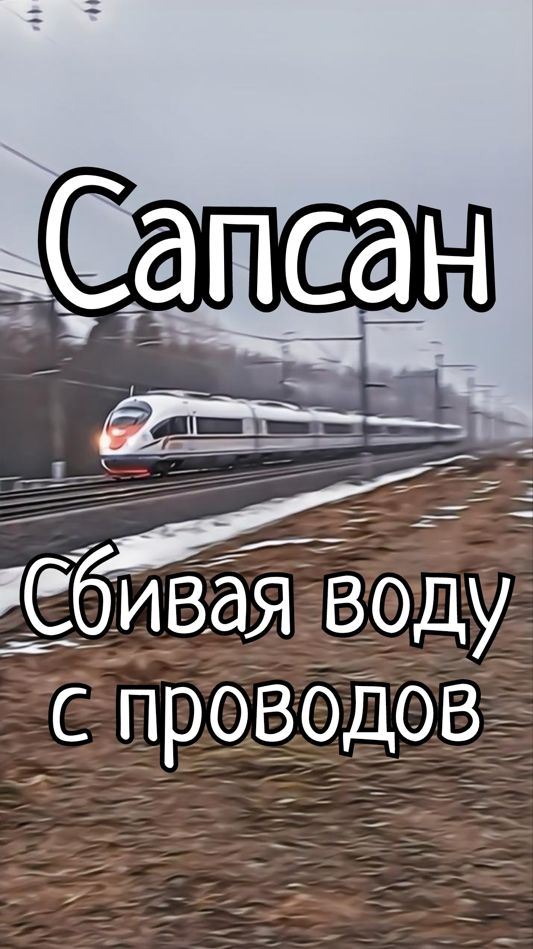 Сапсан,о.п.Сюйська. #ЖелезнаяДорога #ОктябрьскиеМагистрали #РЖД #ЭВС1 #Сапсан #ВысокоскоростнойПоезд