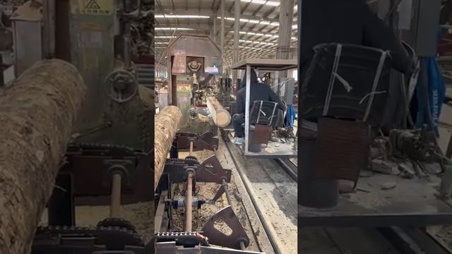 Automatic sports car vertical band saw