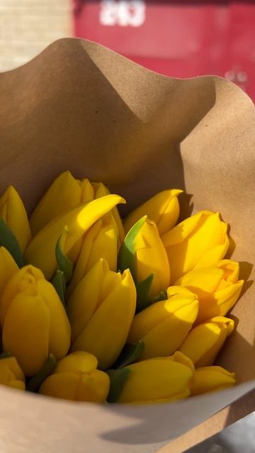 Тюльпаны на 8 Марта🌷