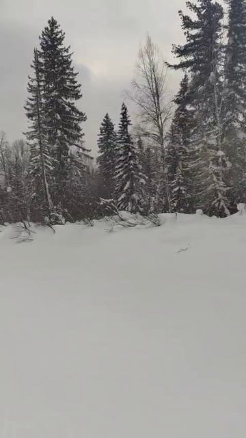 33 На снегоходе по реке Сухой пит Зимой Зимняя тайга Сибирь