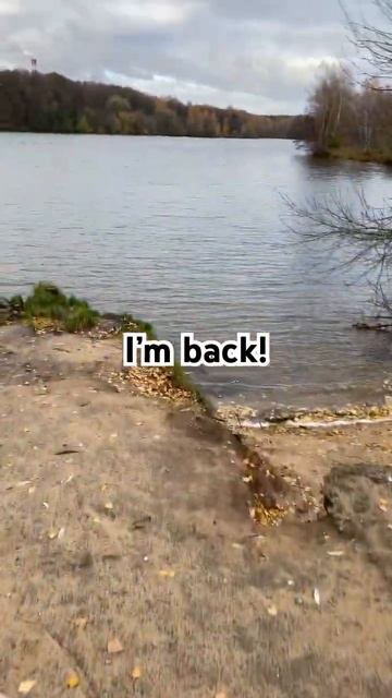 Я вернулся! #sourdoughbread #рецепт #шефповар #еда