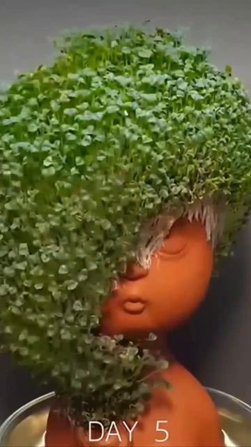 🌱