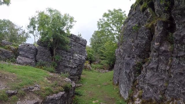 Ubley Warren | A mini Gorge in the Mendip Hills| Somerset