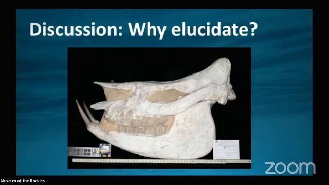 Ashley Hall: The Ultimate ‘Iffyosaur’: The Story of An Unusual Ichthyosaur Composite