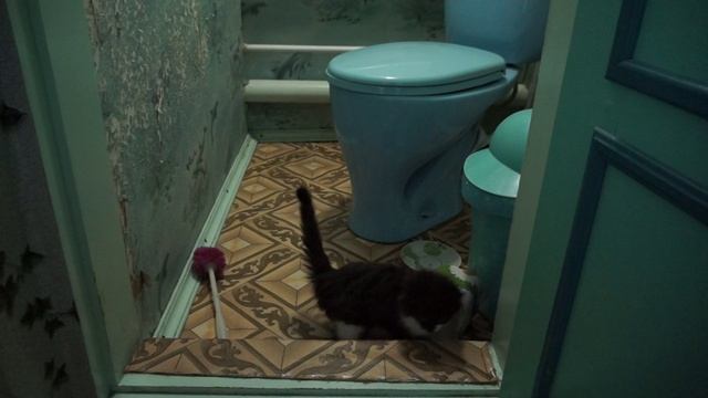 Мой личный сорт апокалипсиса