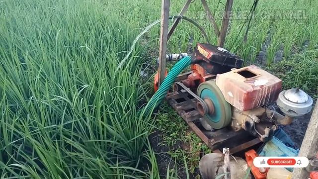 diesel DONG FENG 24 PK dengan pompa NS 80. || buat perairan disawahnya mandor.