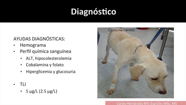 4-higado-pancreas