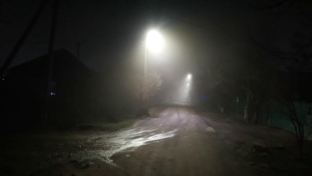 Туман в конце января