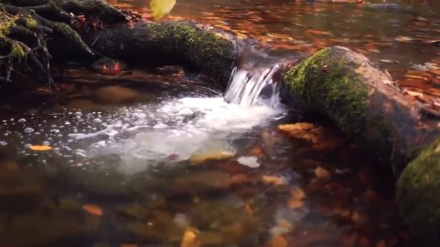 Beautiful Celtic Music - Celtic Harp Relaxing, Deep Sleep, Meditation Music