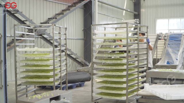 1.Heat pump drying room