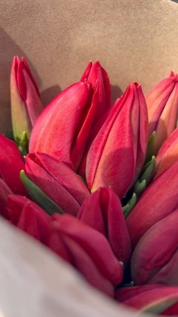 Тюльпаны на 8 Марта🌷