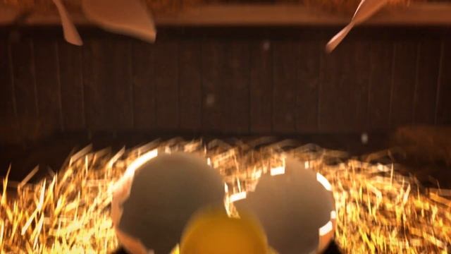SmartGames - Commercial Chicken Shuffle JR (without headline)