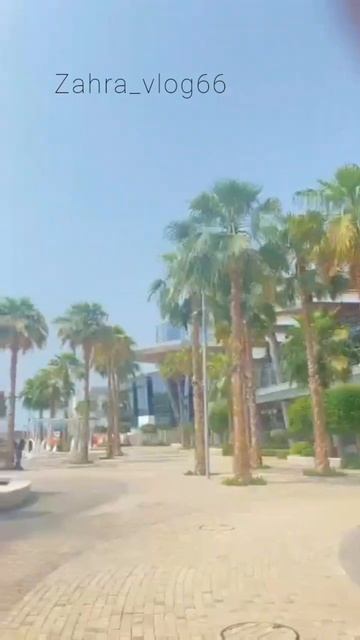 #manarmall #uae#uae #rashmikamandanna ViewPark