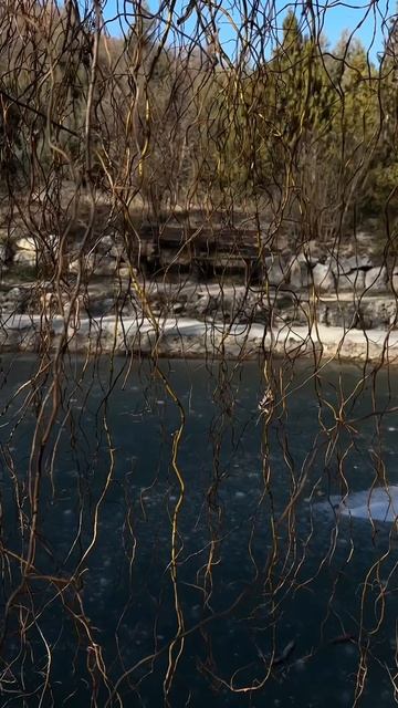 с.Терновка, конный клуб Реактив